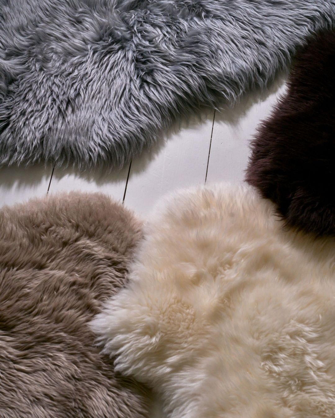 474926439_1040377934800808_3171188731983302774_n