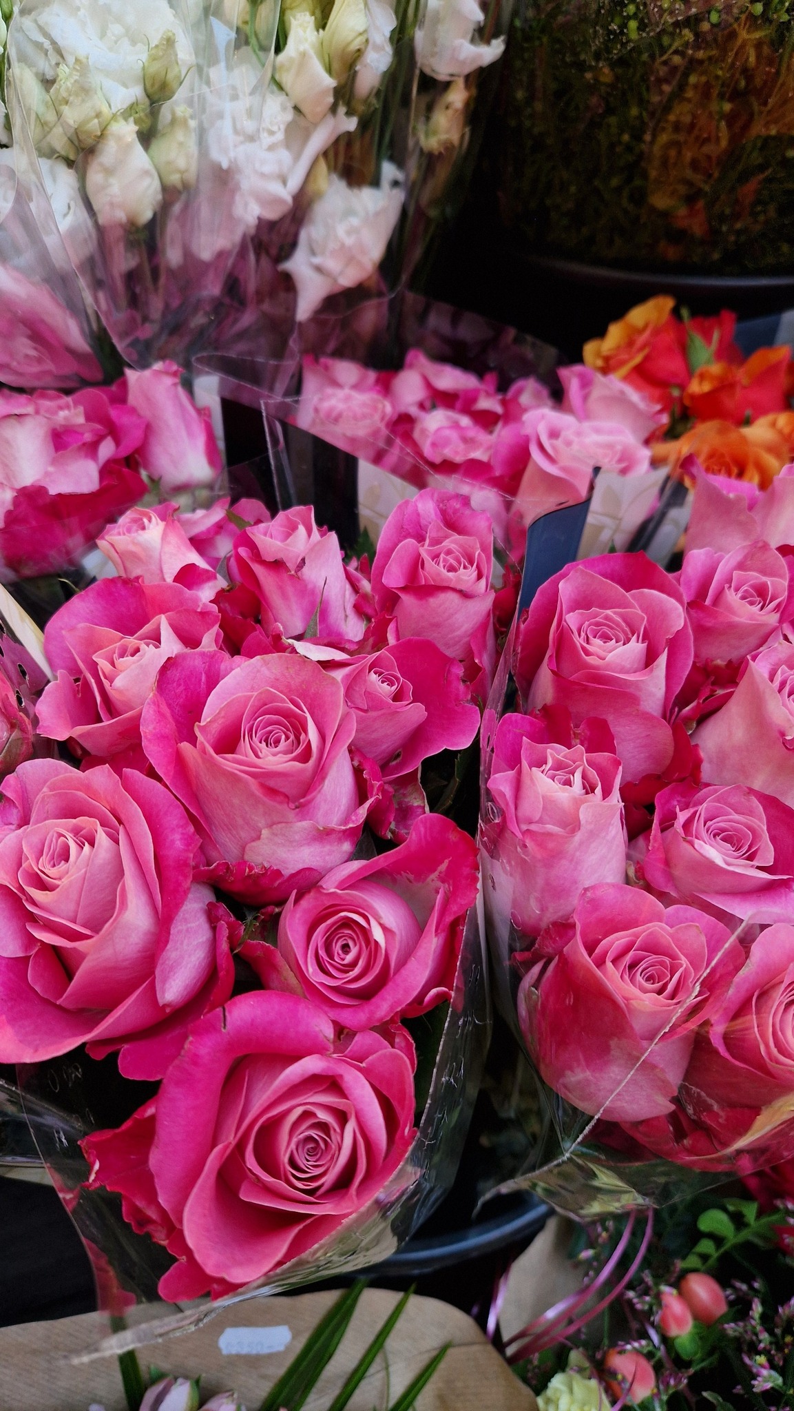 474989392_1374974590437804_2823401056135234339_n