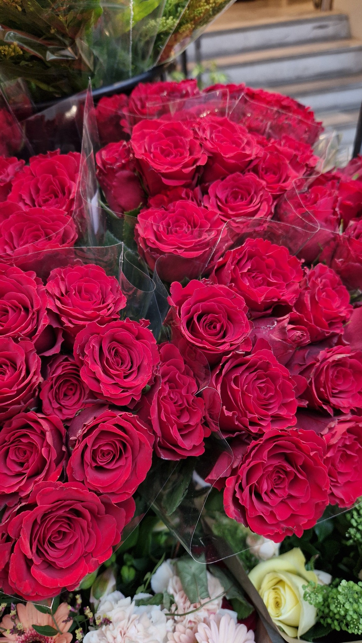 475055467_1374974550437808_8995440213439916206_n