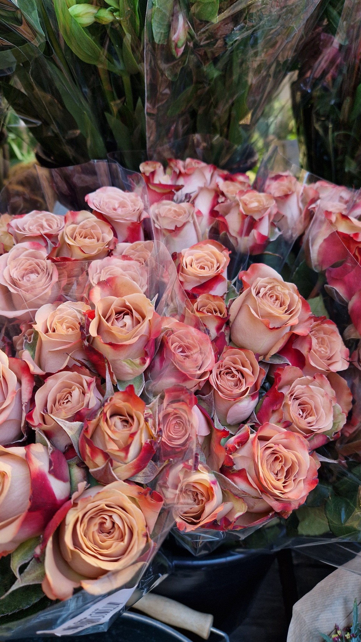 475123301_1374974627104467_5384206039927842430_n