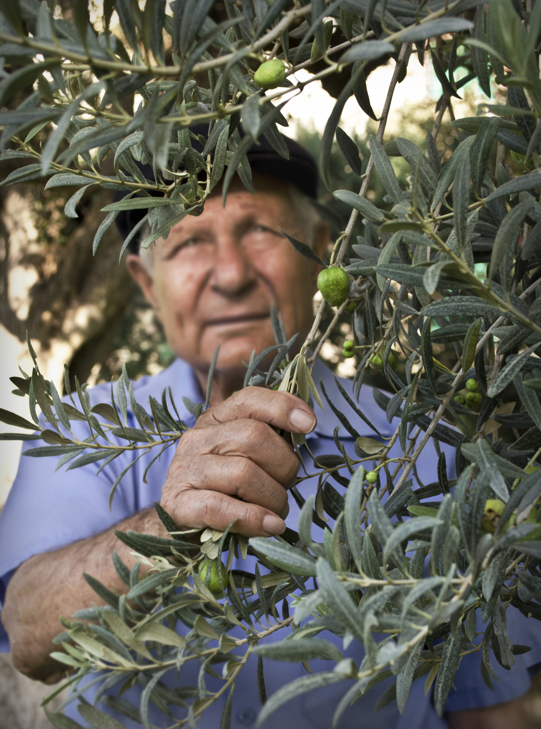 CAPPUZZELLOSILVIA-2-OK